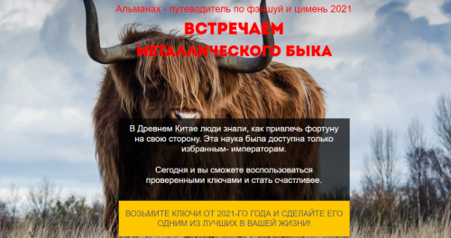 Фэншуй путеводитель по году Металлического Быка 2021. Тариф - Стандарт (Нинель Смолина)