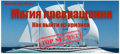 Магия превращения. Как выйти из кризиса (Инесса Власова)