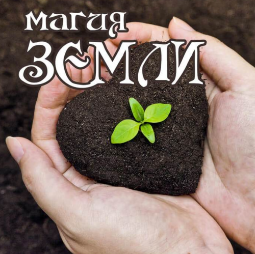 Магия земли (Алёна Полынь)