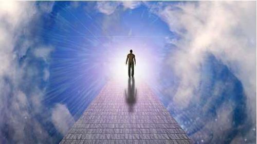 Обучение на мастера регрессолога (Александр Вель, Алина Бубен)