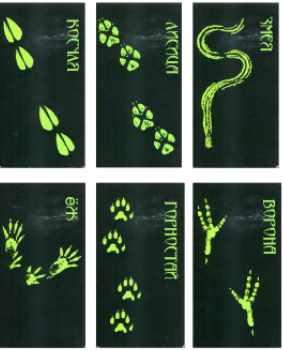 Оракул земли (Алена Полынь)