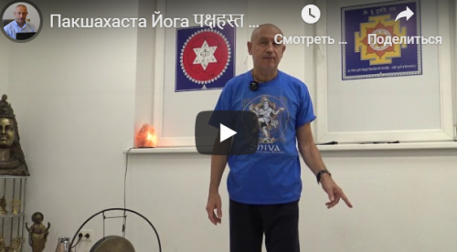 Пакшахаста Йога – Йога для избавления от проблем с плечами, руками и пальцами рук (часть 4) [Шива]