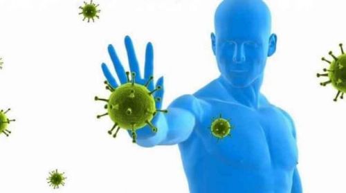 Профилактика и исцеление онкологических заболеваний (Александр Зинченко)