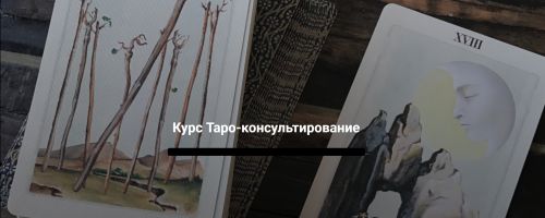 Таро-консультирование. Тариф «Профессионал» (Евгения Марк)