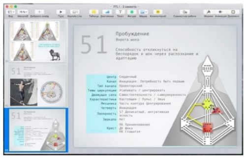 [Дизайн Человека] Курс «PTL I» месяц 2 (Виктор Крючков)