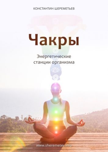 [Интеллектика] Чакры. Энергетические станции организма (Константин Шереметьев)