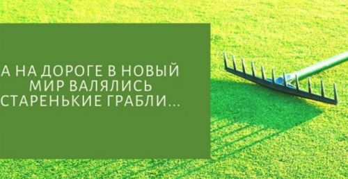 Как перестать наступать на одни и те же грабли (Михаил Лабковский)