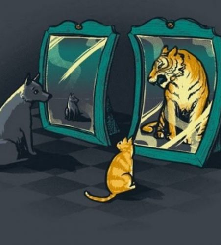 Как самооценка влияет на нашу жизнь: успех, агрессия и отношения (Анастасия Кулькова)