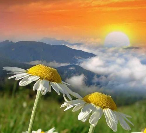 Как войти в состояние 500+ и удержать его (Наталья Андреева)