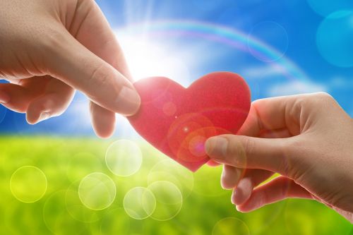 Любовь и как в ней уцелеть (Ирина Камаева)