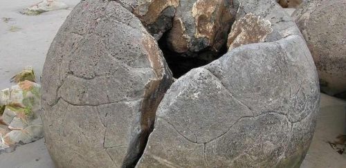 Материнская жертва (Елена Веселаго)