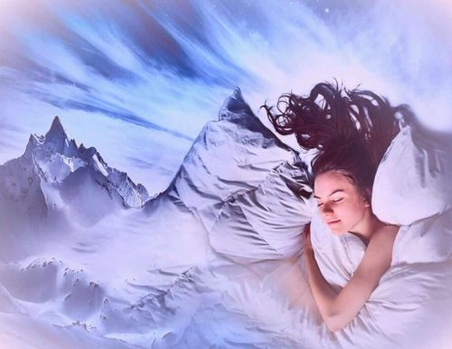 Жизнь как сон. Сон как жизнь. Пакет 'Всё включено' (Елена Паули, Екатерина Преображенская)