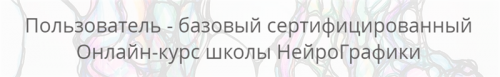 [Нейрографика] Пользователь - базовый сертифицированный (Павел Пискарёв)