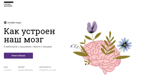 [Синхронизация] Как устроен наш мозг (Вячеслав Дубынин)