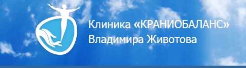 Что со мной? Понятно! Действую! (Владимир Животов)