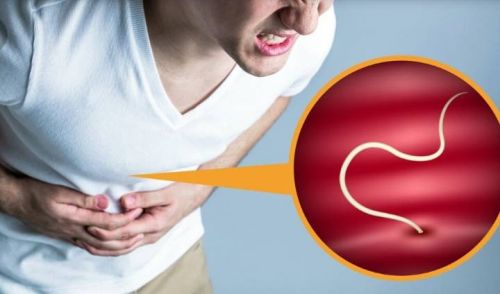 Ecтecтвeннoe избaвлeниe oт пapaзитoв (Aннa Зимeнcкaя)