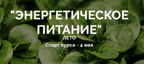 Энергетическое питание - блок Лето (Юлия Дашевски)