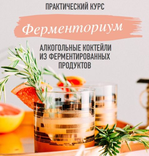 Ферменториум. Алкогольные коктейли из ферментированных продуктов (Юлия Мальцева)