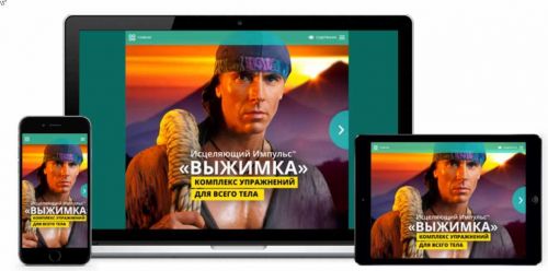 Исцеляющий Импульс™: Выжимка (Голтис)