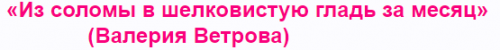 «Из соломы в шелковистую гладь за месяц» (Валерия Ветрова)