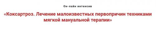 Коксартроз. Лечение малоизвестных первопричин техниками мягкой мануальной терапии (Игорь Атрощенко)