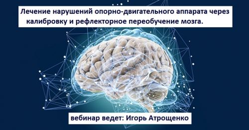 Лечение нарушений опорно-двигательного аппарата через калибровку и рефлекторное переобучение мозга