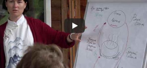 Мудрое питание для здоровья. Июль 2019 (Анна Осипова)