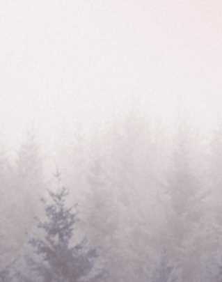 Остеопатия МФР