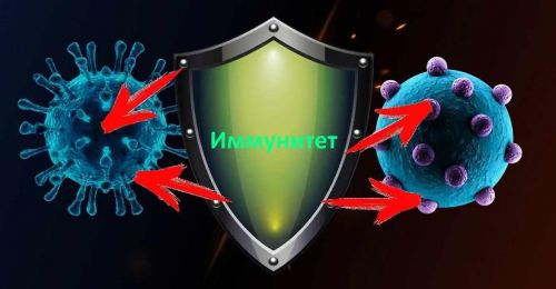 Поднять иммунитет (Тамир Шихалиев)
