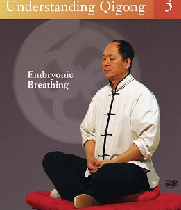 Понимание цигун. Эмбриональное дыхание. часть 4 из 4 (Ян Цзымин)