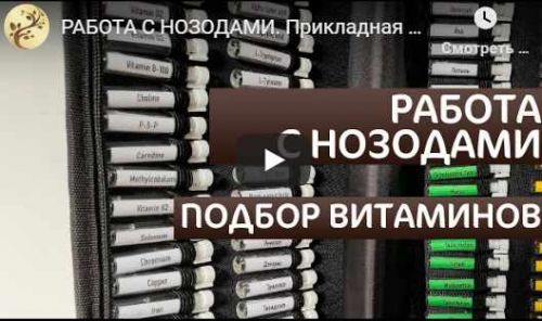 Прикладная кинезиология. Анатомические поезда. Миофасциальные цепи (Антон Циванюк)