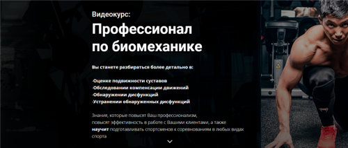 Профессионал по биомеханике (Алексей Мирко)