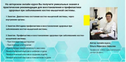 Профилактика и восстановление здоровья при заболеваниях костно-мышечной системы (Ольга Шишова)