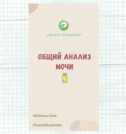 Руководство по расшифровке общего анализа мочи (Катерина Форма)