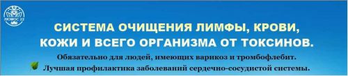 Система очищения лимфы, крови, кожи от токсинов (Татьяна Панюшкина)