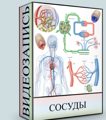 Сосуды (Людмила Малышева)