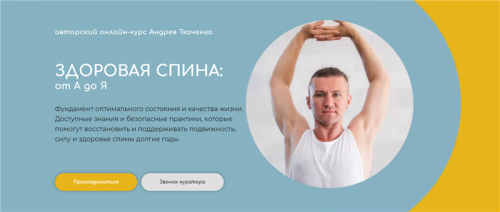 Здоровая спина от А до Я. Тариф Стандарт (Андрей Ткаченко)