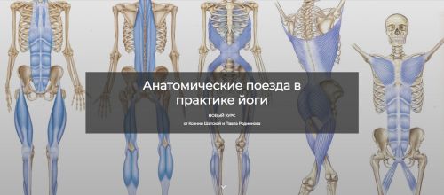 [Basebody] Анатомические поезда в практике йоги (Ксения Шатская, Павел Родионов)
