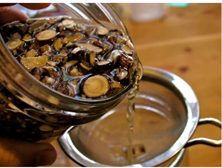 [FestTrav] Заготовка корневищных растений в весенний период (Сергей Аполлонов)