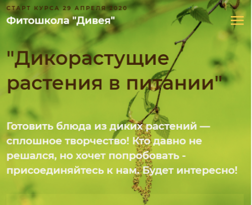 [Фитошкола 'Дивея'] Дикорастущие растения в питании. Стандрт (Ольга Спиридонова, Ольга Дзюбан)