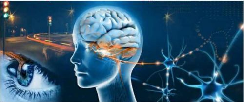 [Maitreya Fields] Регенерация глаз