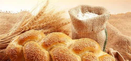 [Первая школа биохакинга] Глютен: темная сторона (Екатерина Санникова)