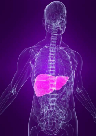 [Первая Школа Биохакинга] Синдром Жильбера (Ирина Баранова, Лариса Щербина)