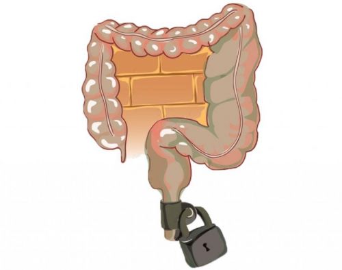 [Школа Светлячков] Запоры и поддержка кишечника (Надя Андреева)