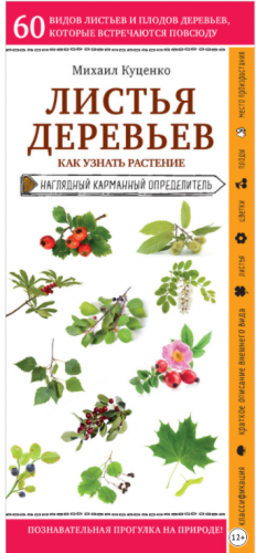 Листья деревьев. Как узнать растение (Михаил Куценко)