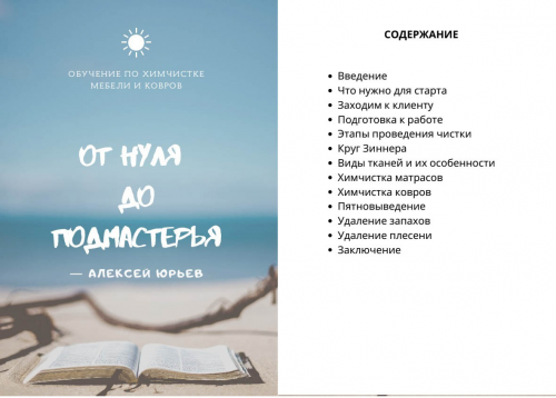 От нуля до подмастерья. Обучение по химчистке мебели и ковров (Алексей Юрьев)