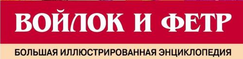 Войлок и фетр. Большая иллюстрированная энциклопедия (Зайцева А.)