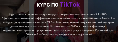 Курс по TikTok. Пакет LIGHT (Андрей Соколовский)