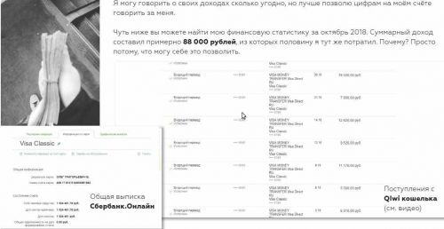 «PinМонета» — нетронутая золотая жила (Базовый тариф)(Олег Болотов)