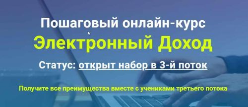 Пошаговый онлайн-курс Электронный Доход. Пакет: Золото (Егор Лобанов)
